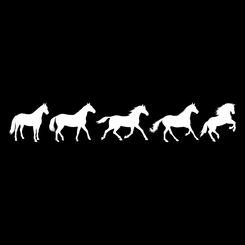 ! Evolution Pferd in Bewegung