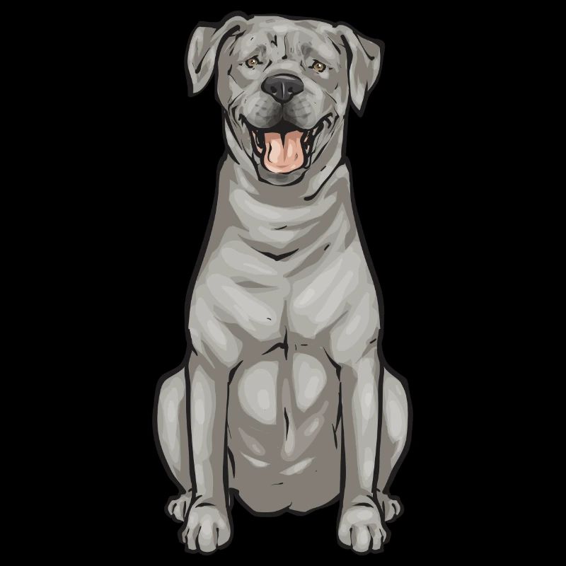 Silver Labrador Retriever Silver Lab