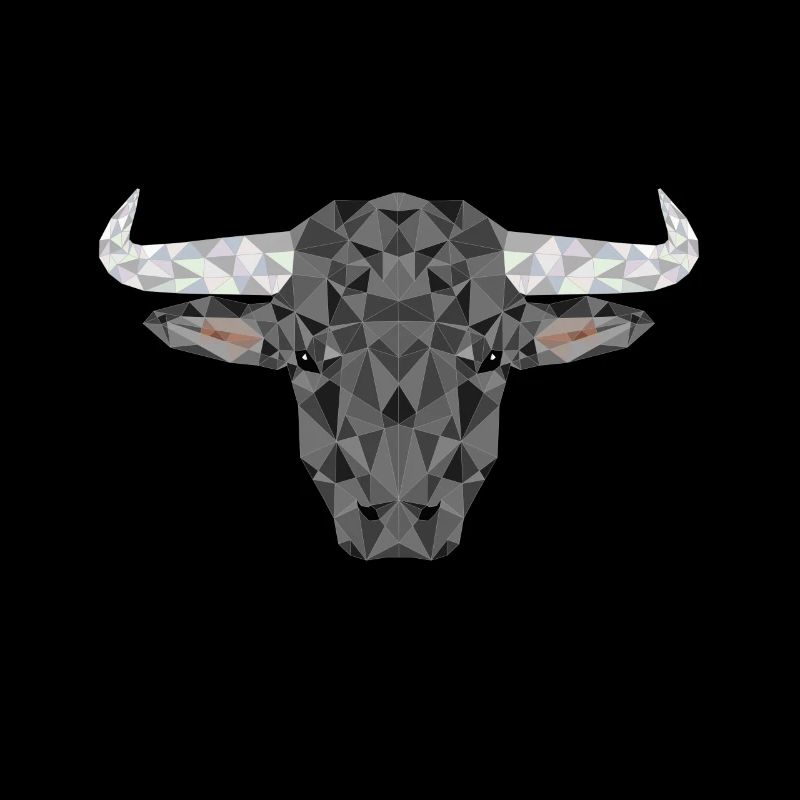 Bulle Stier Stierkampf Polygon Rind Tiere Spanien