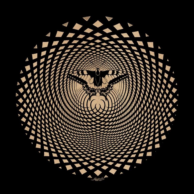 Illusion d’optique Papillon Effet Papillon