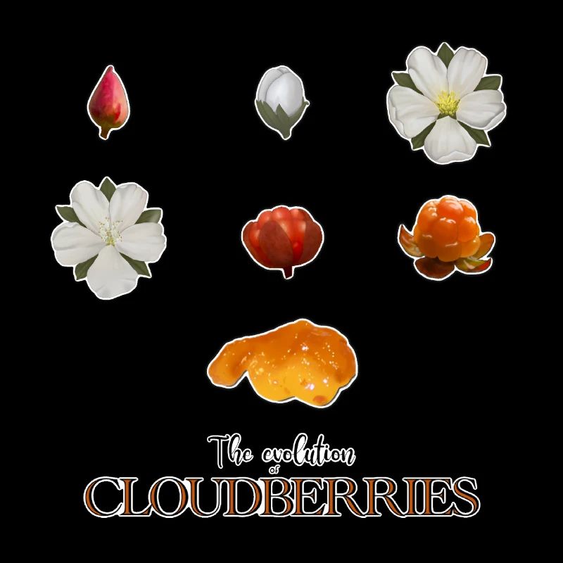 The Evolution of Cloudberries