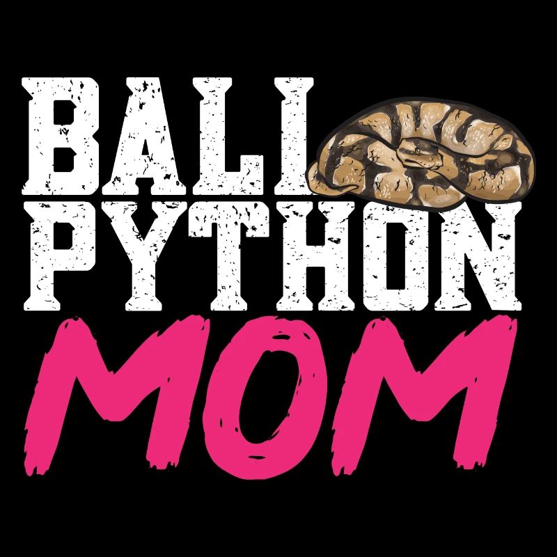 Ball Python Schlange Königspython