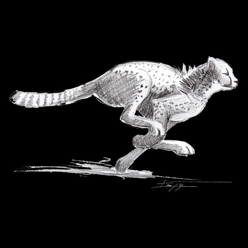 Guépard