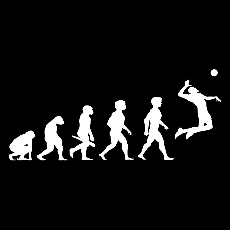 Evolution Beach Volleyball Player Sport