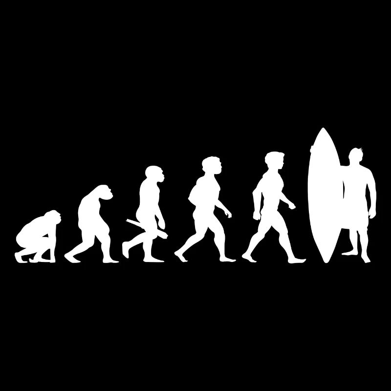 Evolution Surf Surfers surf surf