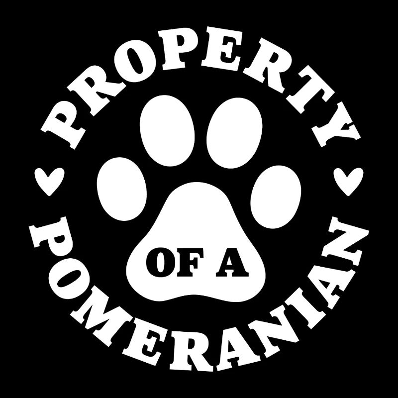 Eigentum eines Zwergspitzs