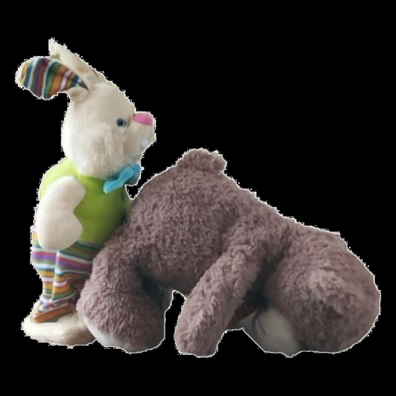Teddy Bear Bunny