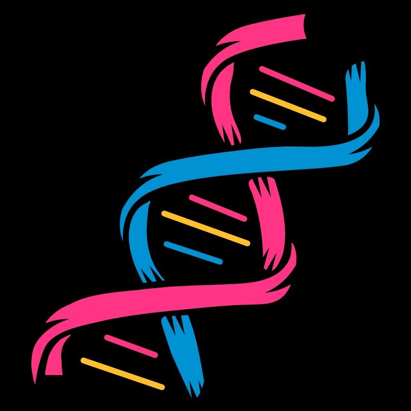 The structure of a DNA molecule