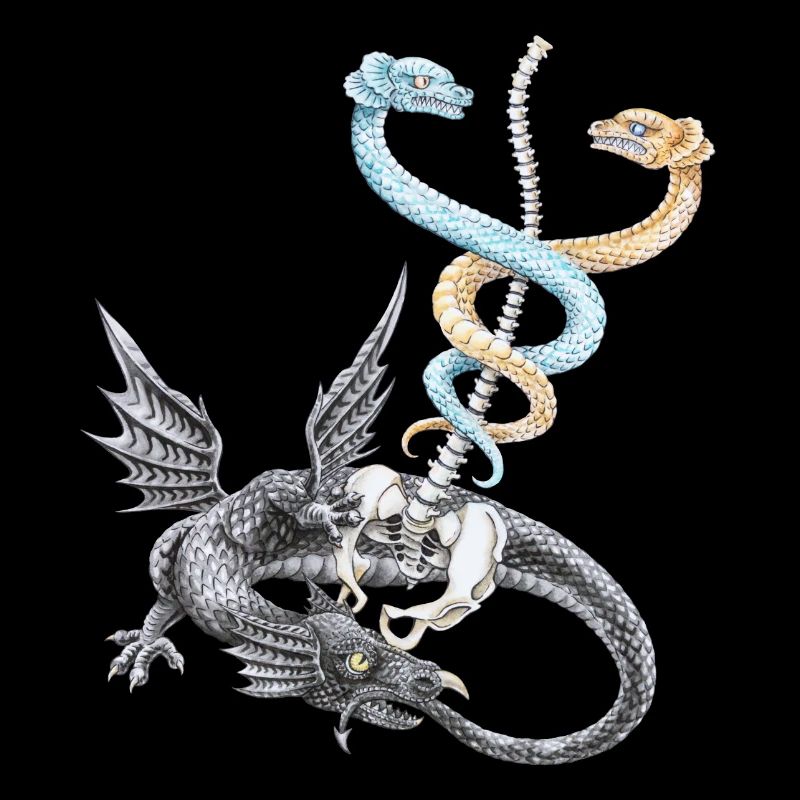 Le caducée d'Hermès