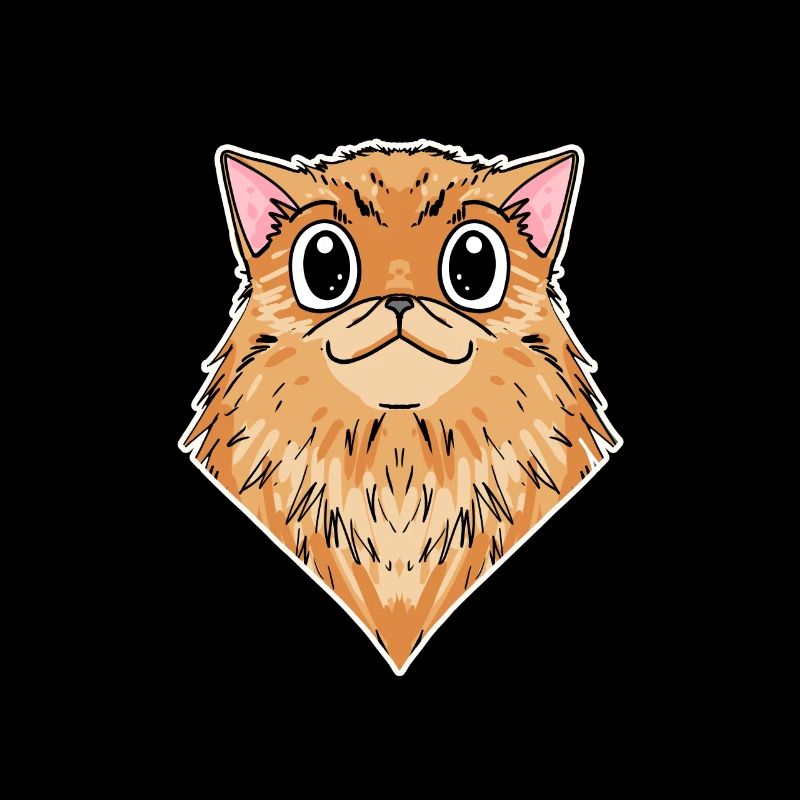 Chat persan Race de chat Chat