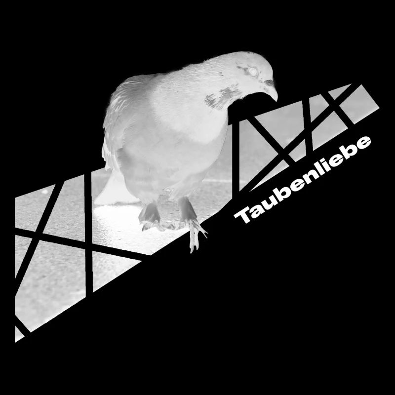 Taubenliebe