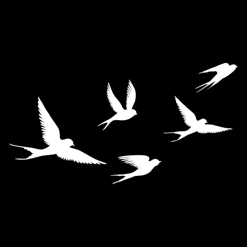 Birds | Bird
