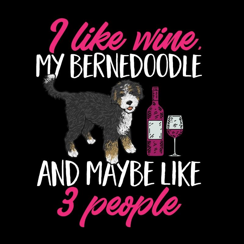 Bernedoodle Dog
