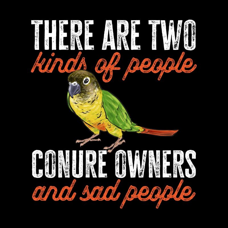 Molinasittich Papagei Vogel Sittich