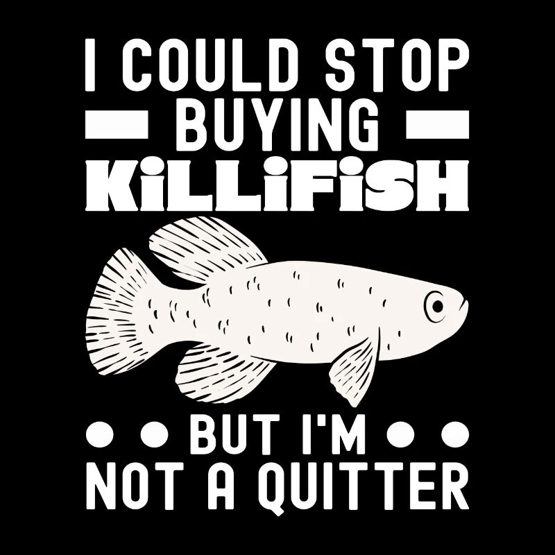 Killifish Quarium Fish