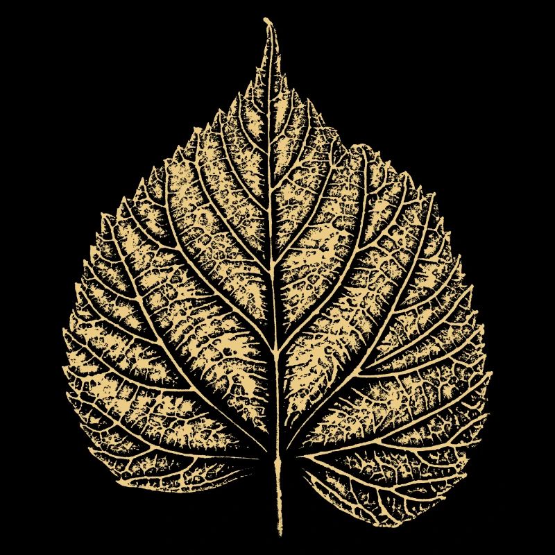 Blatt Linde / Lindenblatt 2