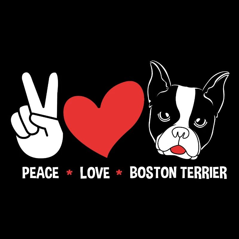 Boston Terrier