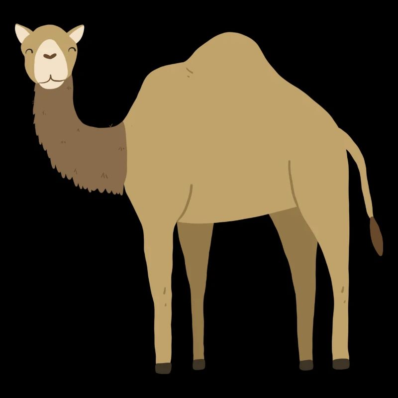 Dromadaire