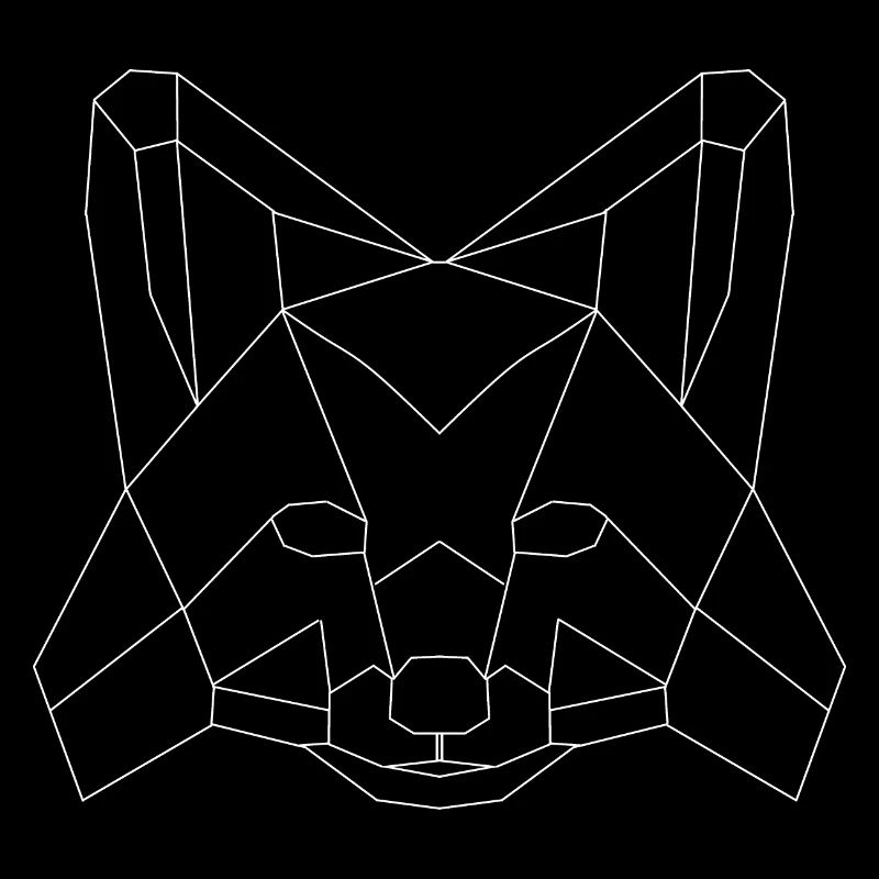 Fuchs polygons white