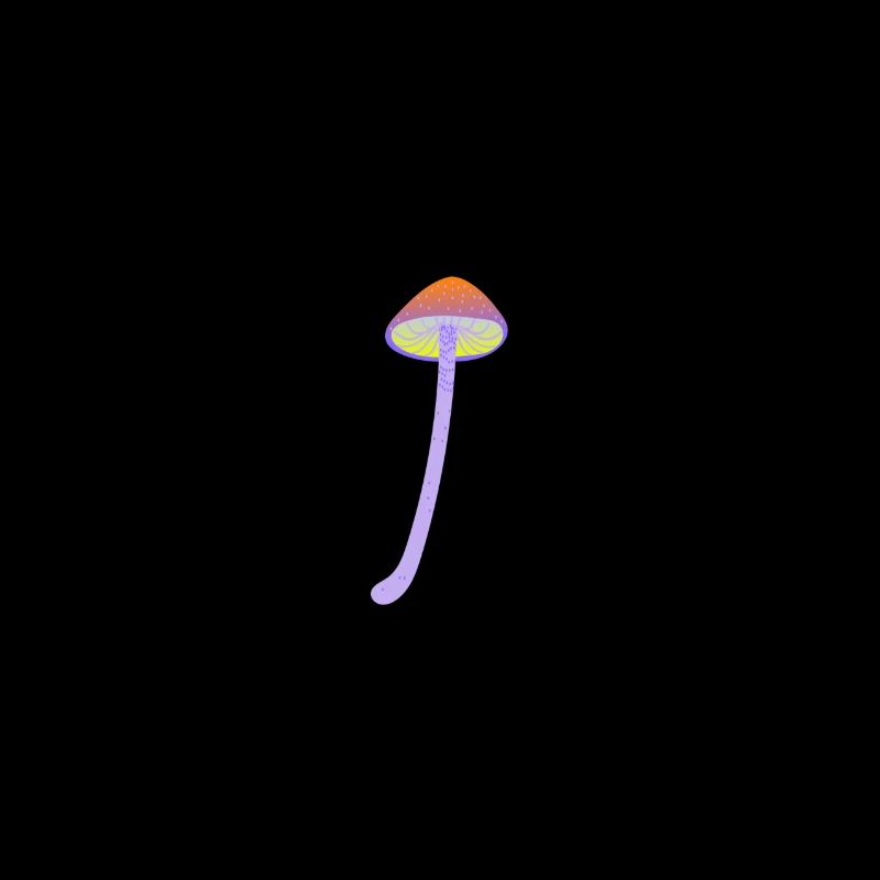 Magic mushroom