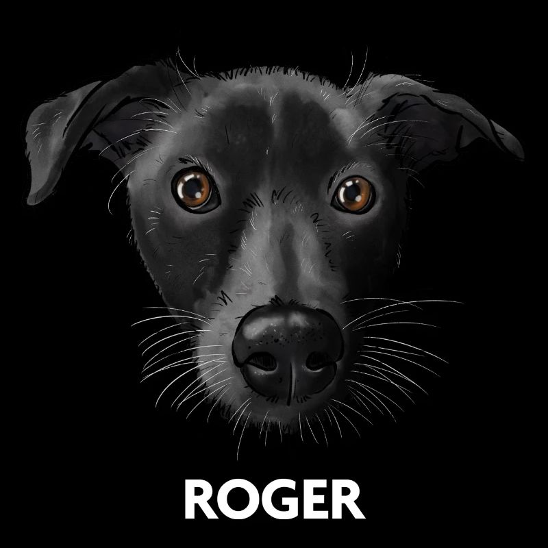 Roger 2