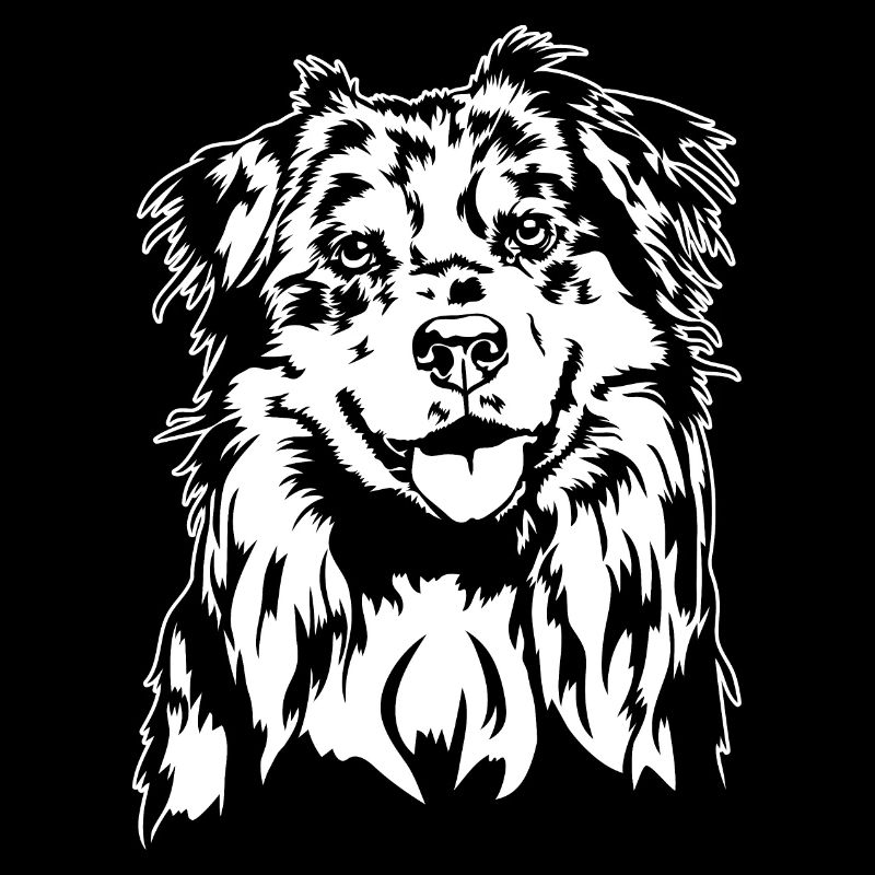 Australian Shepherd Aussie Portrait Hunde Wilsigns