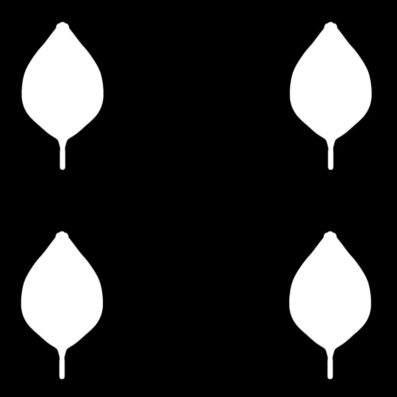 four leaves leaf nature pattern