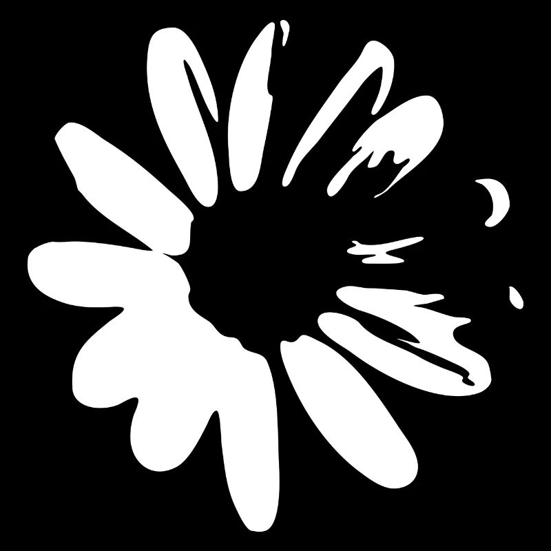 Daisies Spring Summer