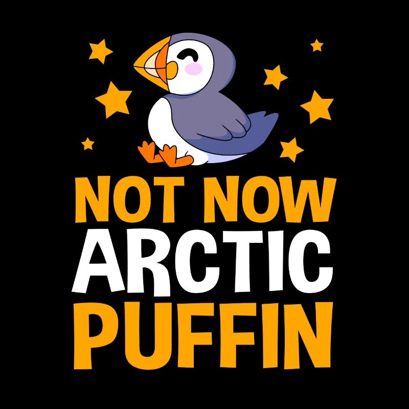 Papageientaucher Puffin