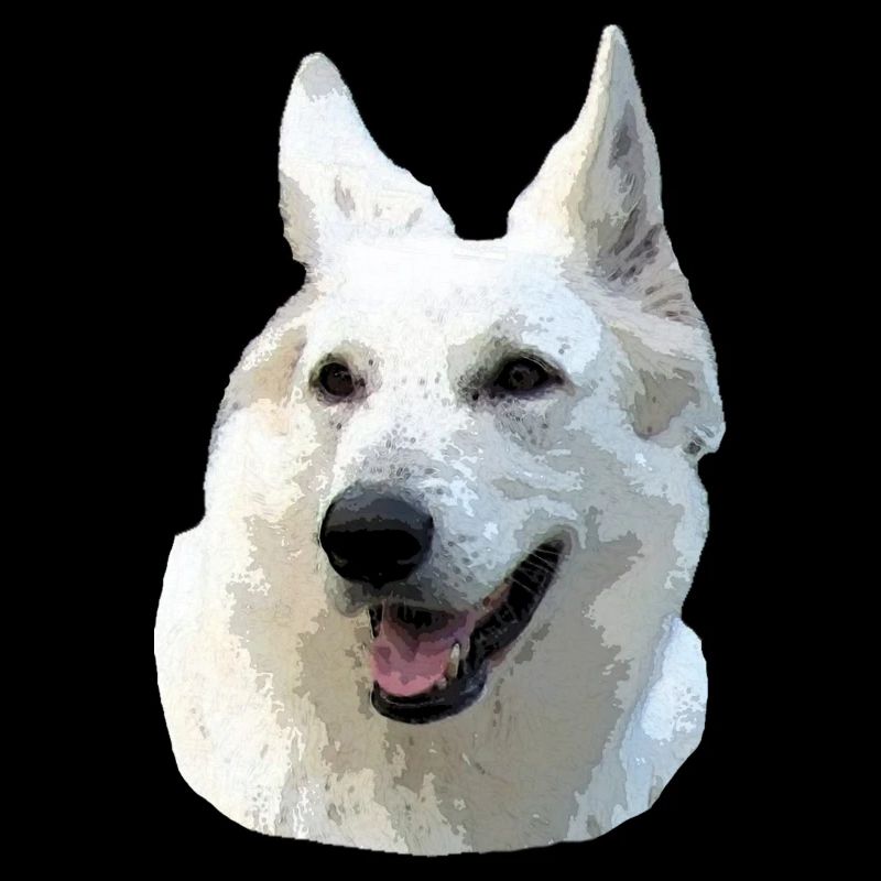 Berger Blanc