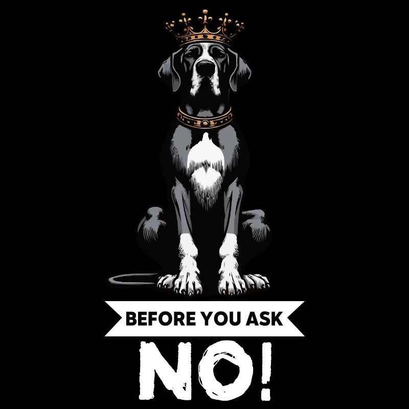 Before You Ask Great Dane Great Dane Owner