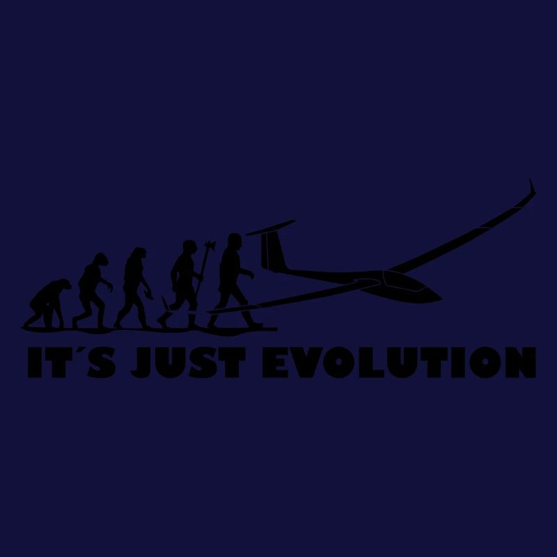 Evolution Segelflugzeug