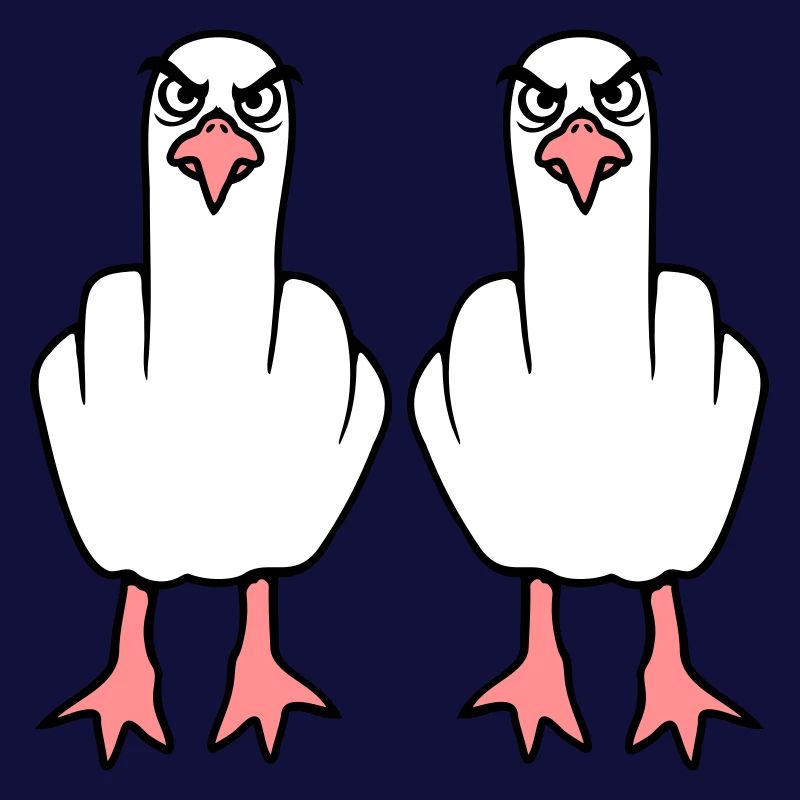 2 Seagulls Doigt d’honneur Insulte Stinkfinger Équipe