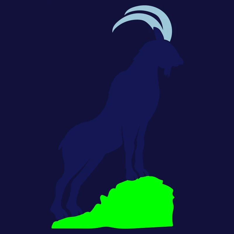 steinbock 02