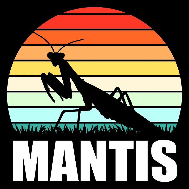 Mantis Gottesanbeter Gottesanbeterin