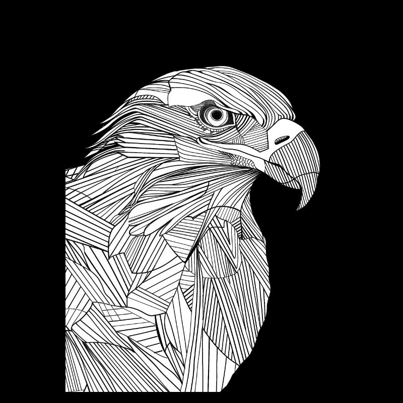 Lignes art aigle #eagle