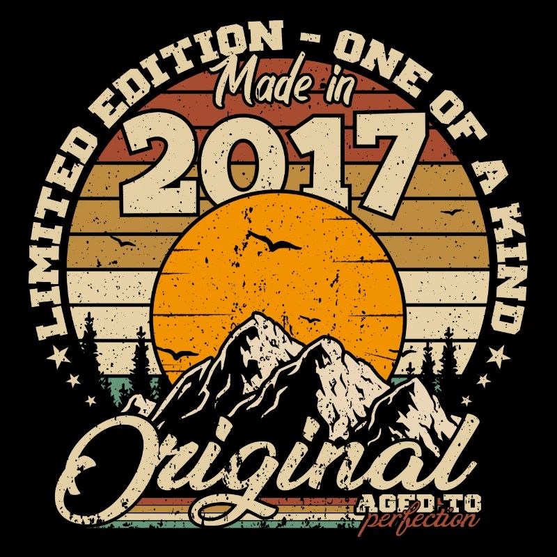 Made in 2017 Geburtstagsgeschenk 2017 Retro 2017