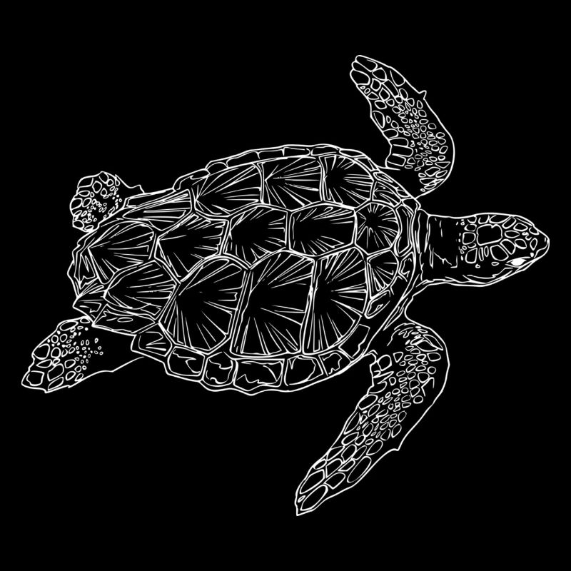 Sea Turtle - Blanc