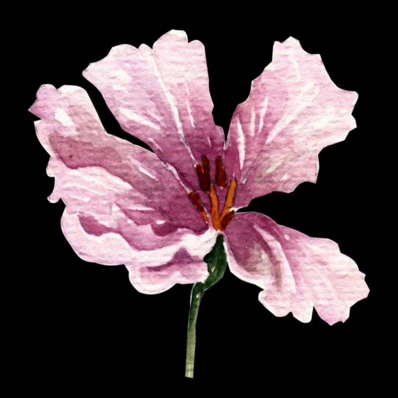 flower pink
