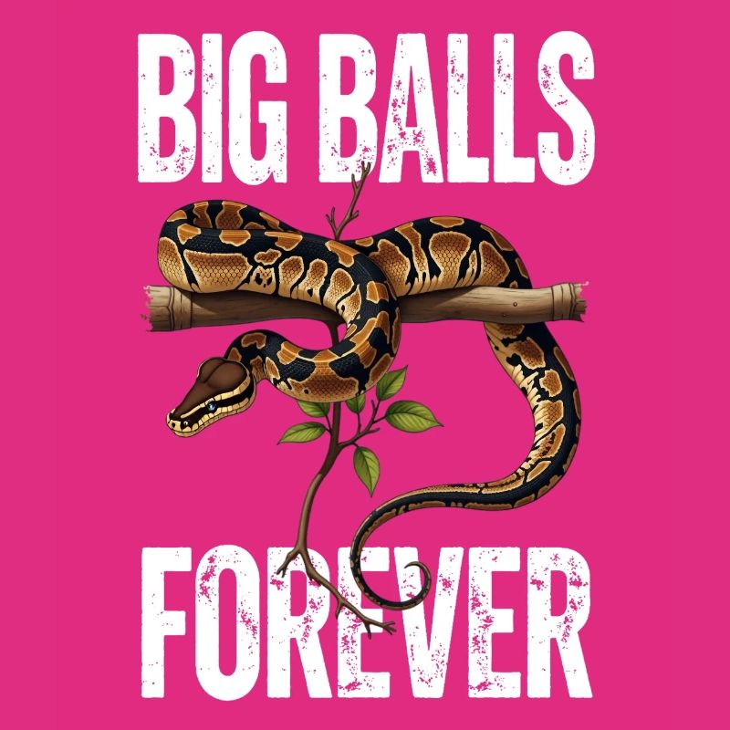 Python roi Serpents Amateurs de terrarium Python