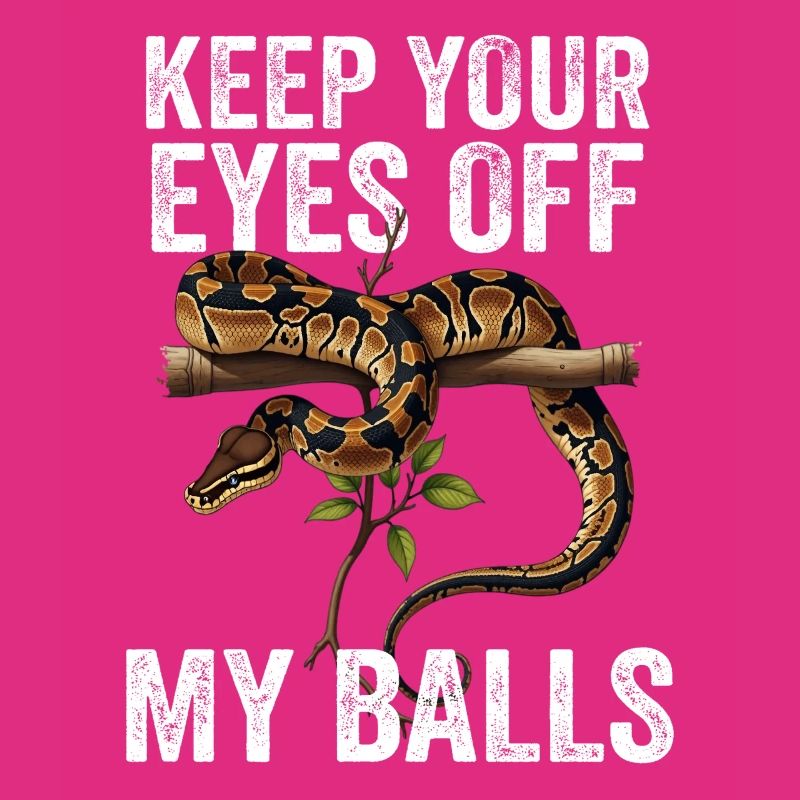 Königspython Schlangen Liebhaber Terrarium Python