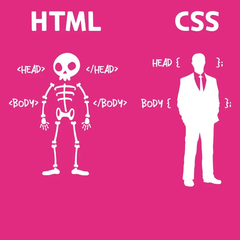 Code Css C++ Php Java Développeur Code Scripting
