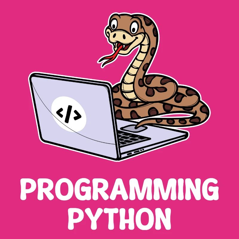 Scripting Programmer Computer Debug Developer