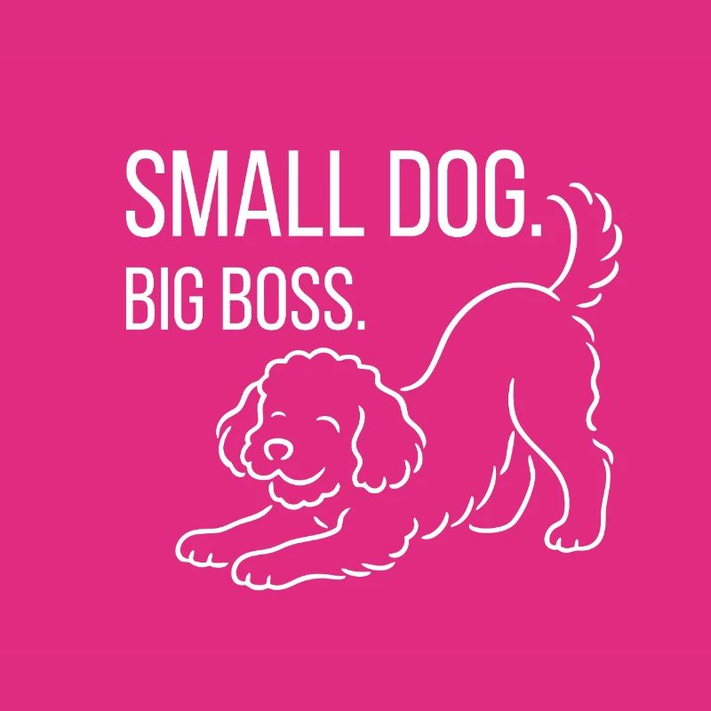 Zwergpudel, Malti-poo oder Königspudel 