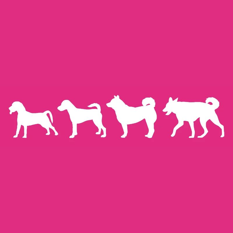Évolution du chien