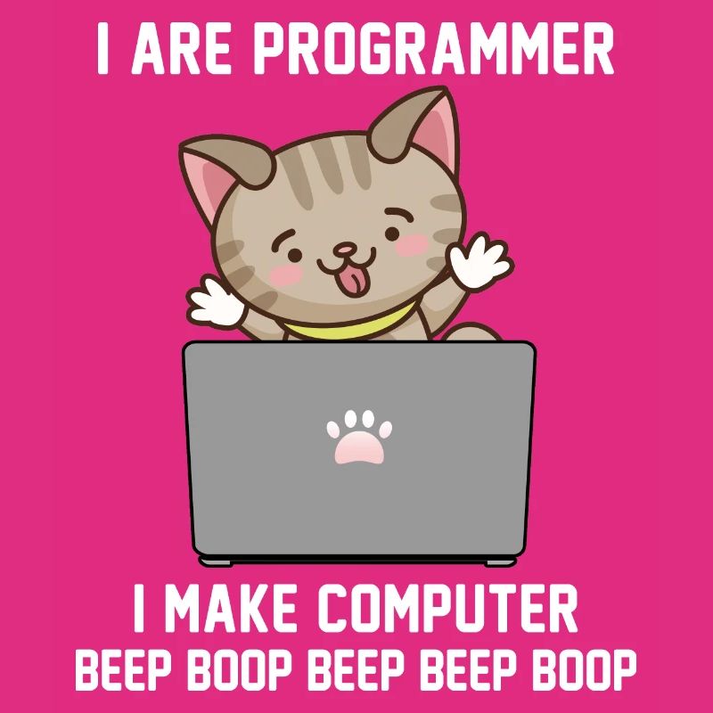 Programmer