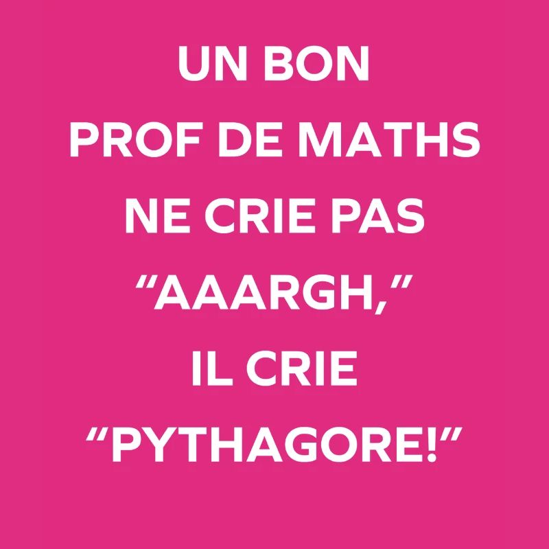 Prof de maths crie Pythagore