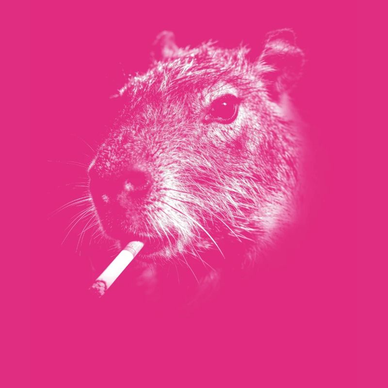 Rauchen, Zigarette, Capybara raucht eine Zigarette
