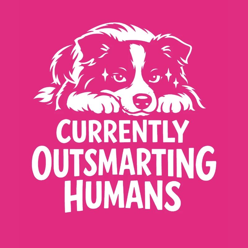 Plus intelligent que toi | Expression du Border Collie