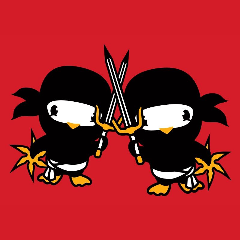 2 Oiseaux Ninja Fighter Assassin Épée Ninja Star